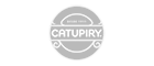 logo catupiry